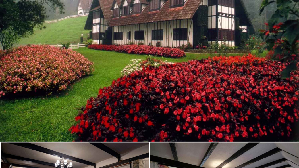 Cameron Highlands / Ipoh / Perak