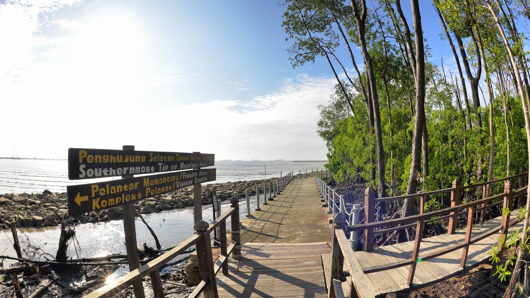 Pekan Nanas / Kota Tinggi / Pontian