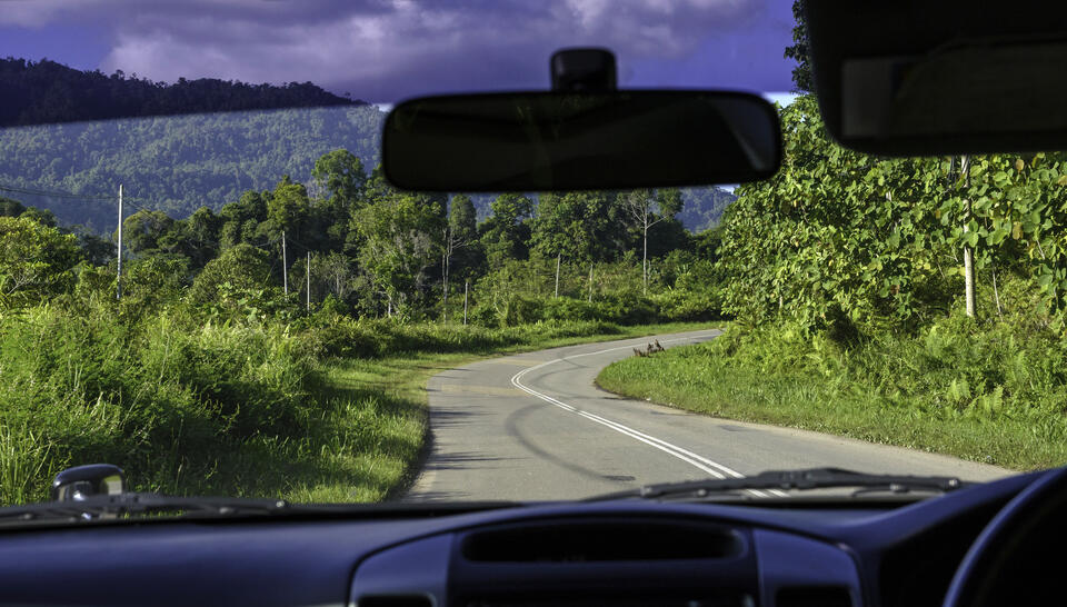 One-Way / Round Trip