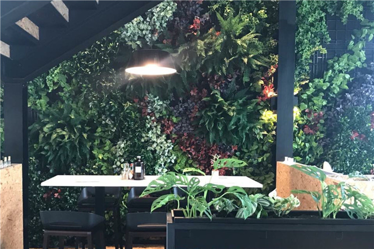 Cafe Hopping