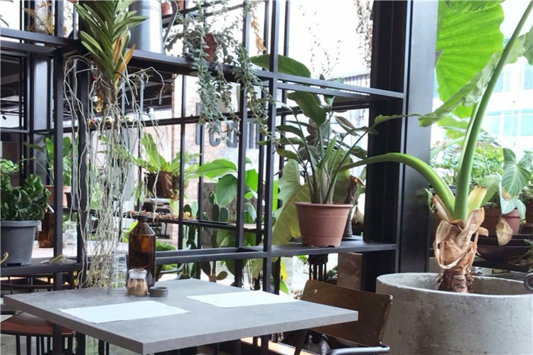 Cafe Hopping